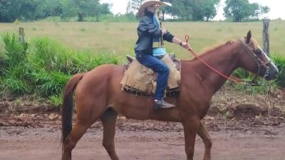 N. Sra. Aparecida – Comunidade Barra Mansa do Iguaçu 